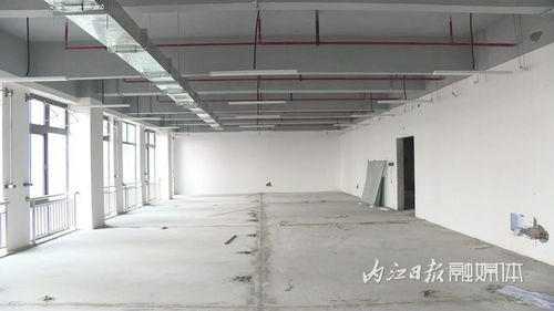 跑出“加速度”，內(nèi)江軟件與信息技術服務外包產(chǎn)業(yè)園一期項目建設進度條已達95%